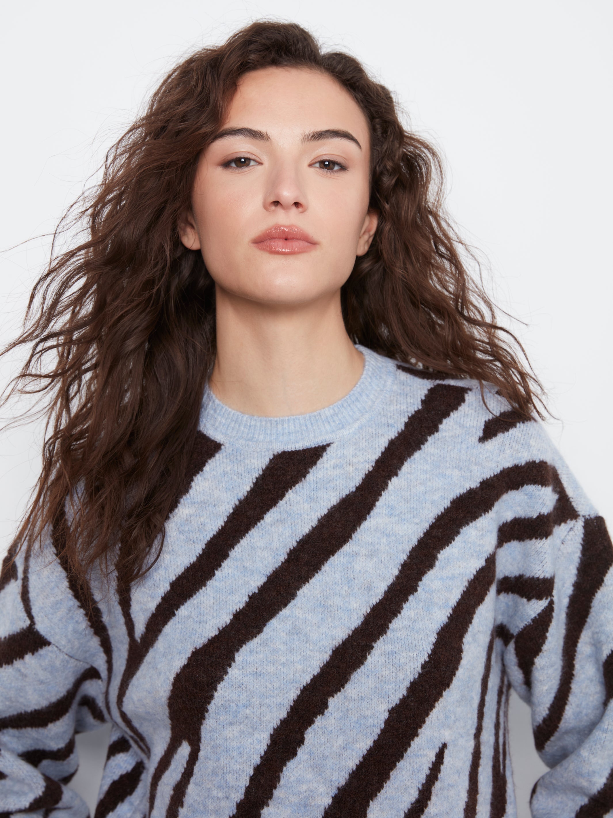 Animal Print Knit Sweater