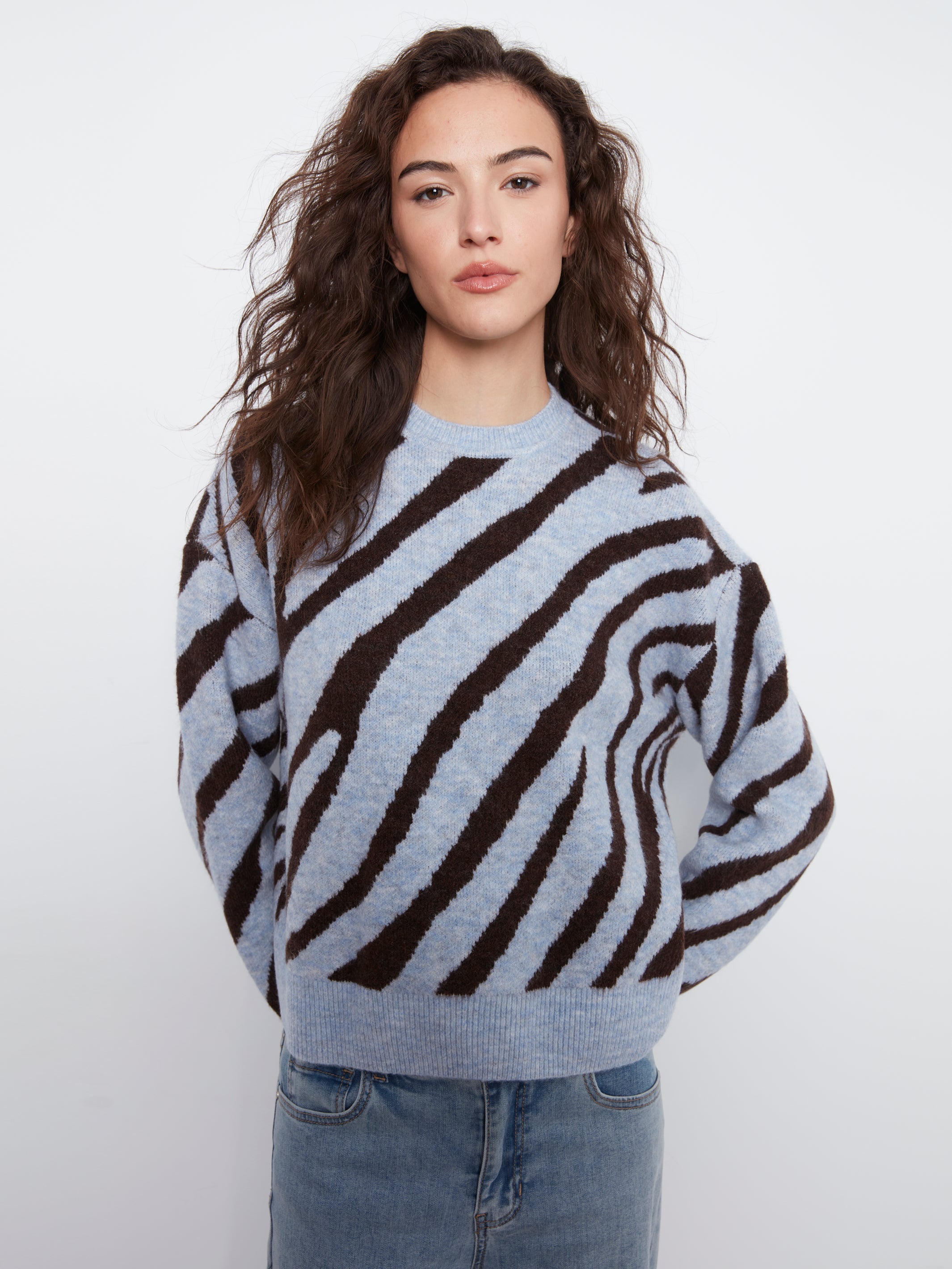 Animal Print Knit Sweater