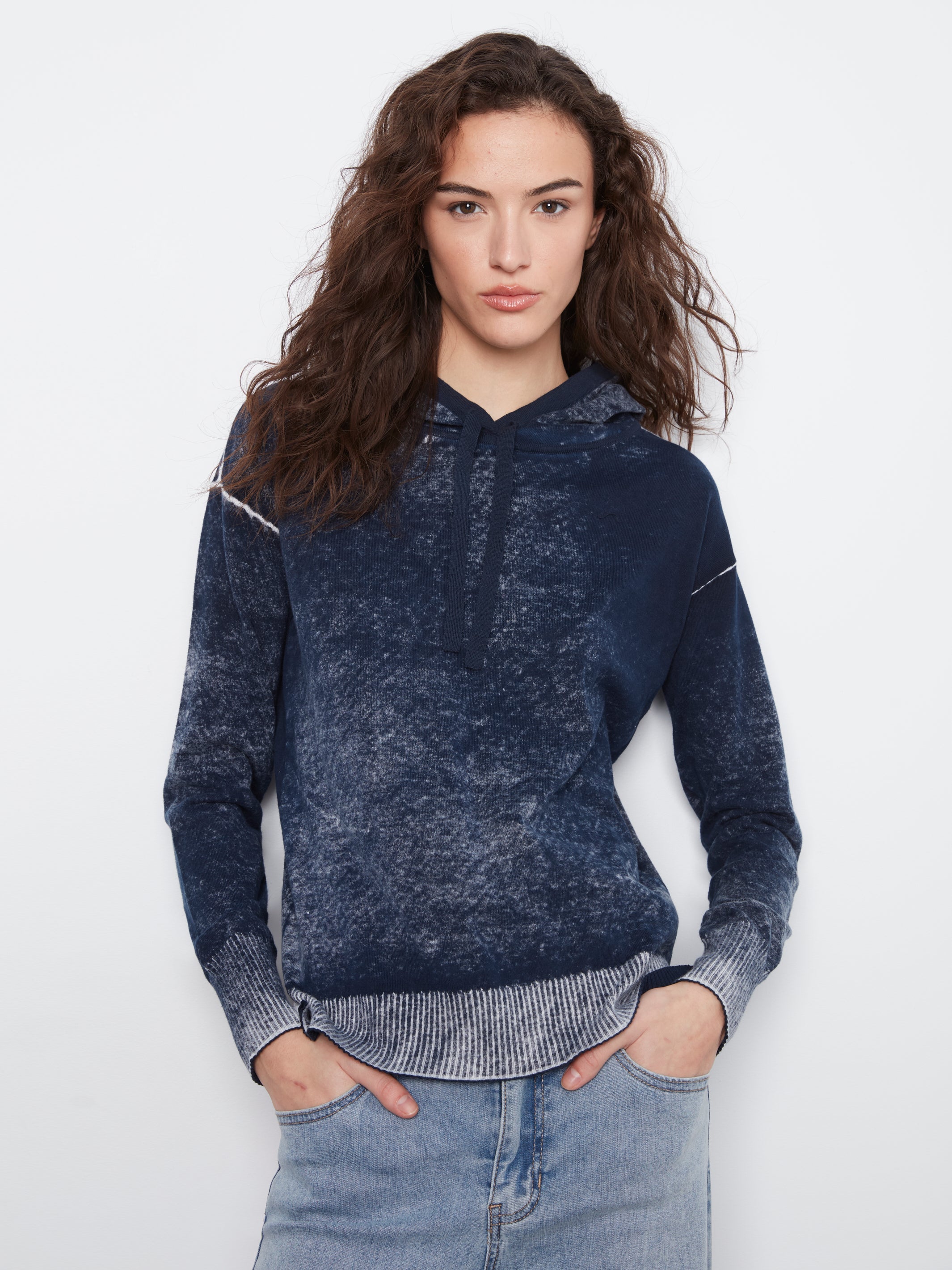 Charlie B V-Neck Fooler Sweater - Style C2616RP-261B